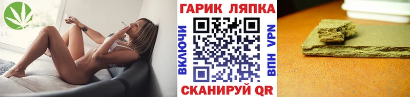 ГАШ Изолятор Дубна