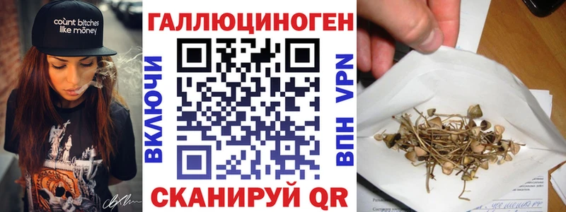 Галлюциногенные грибы Psilocybe  Дубна 