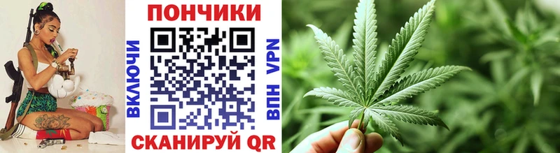 Канабис планчик  как найти   Дубна 